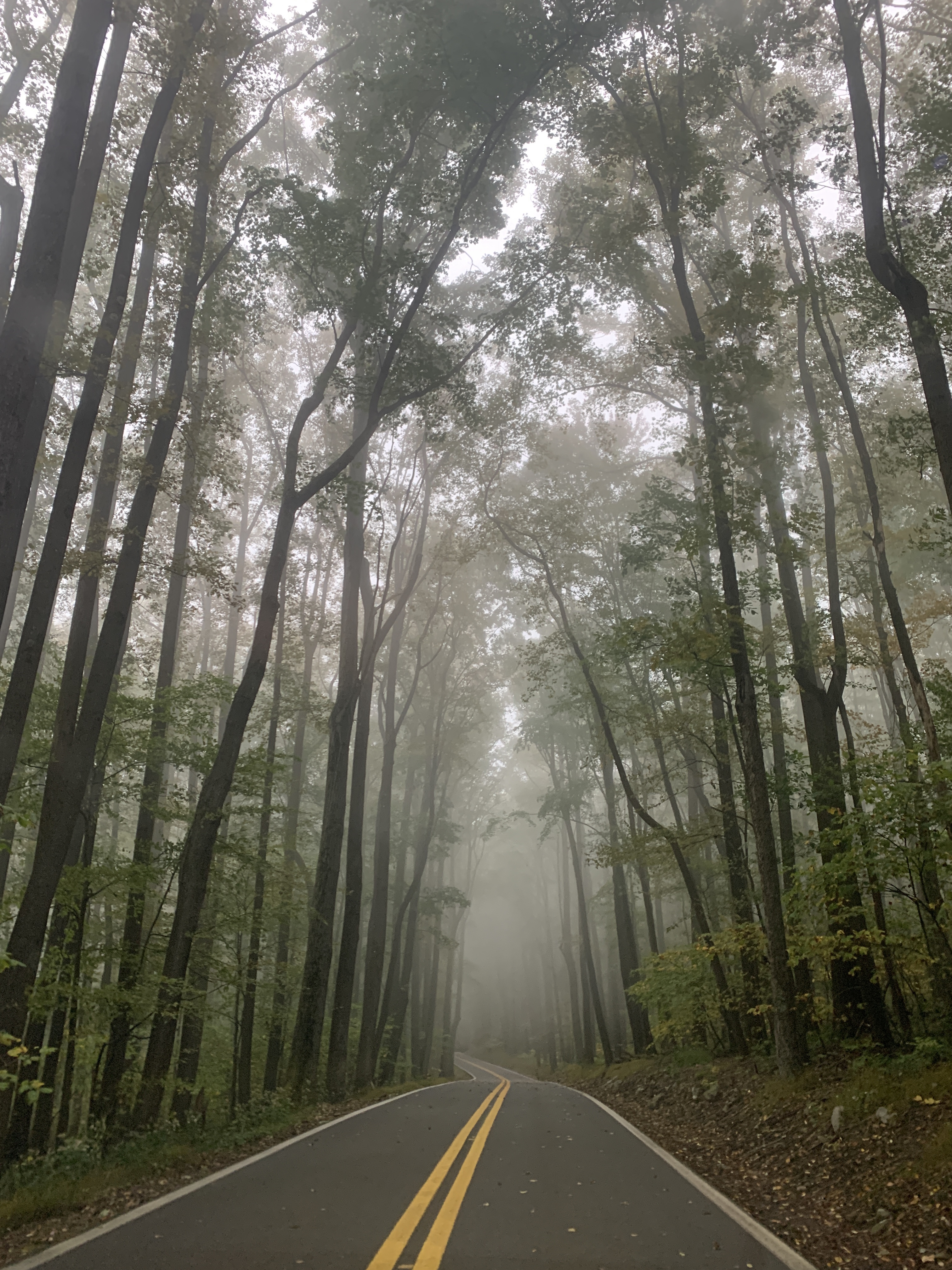 Cooper’s park in the light rain 雨中的公园