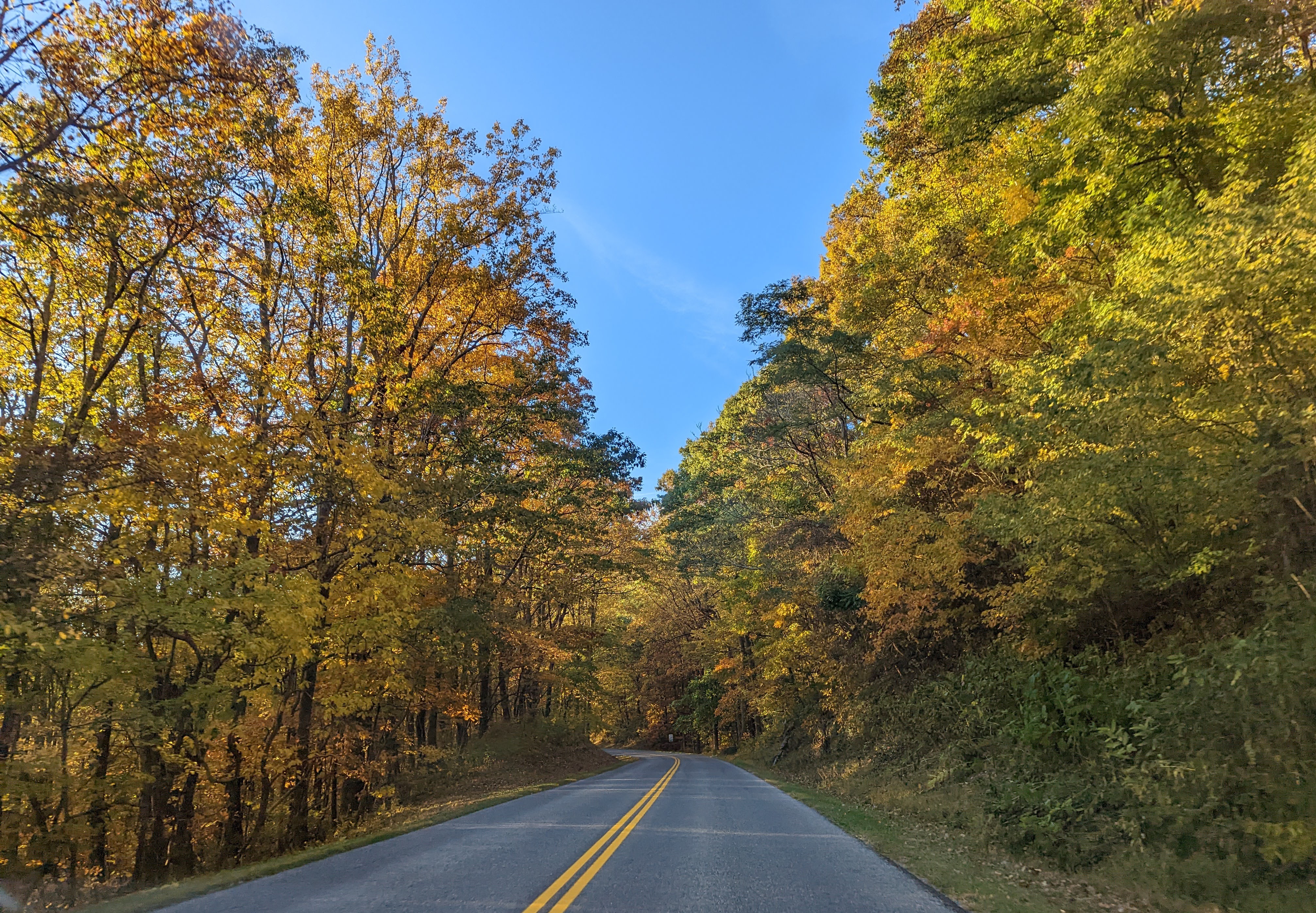 Hours of driving in colors! 几个小时这样的山上公路，怎能不爱上这个季节？