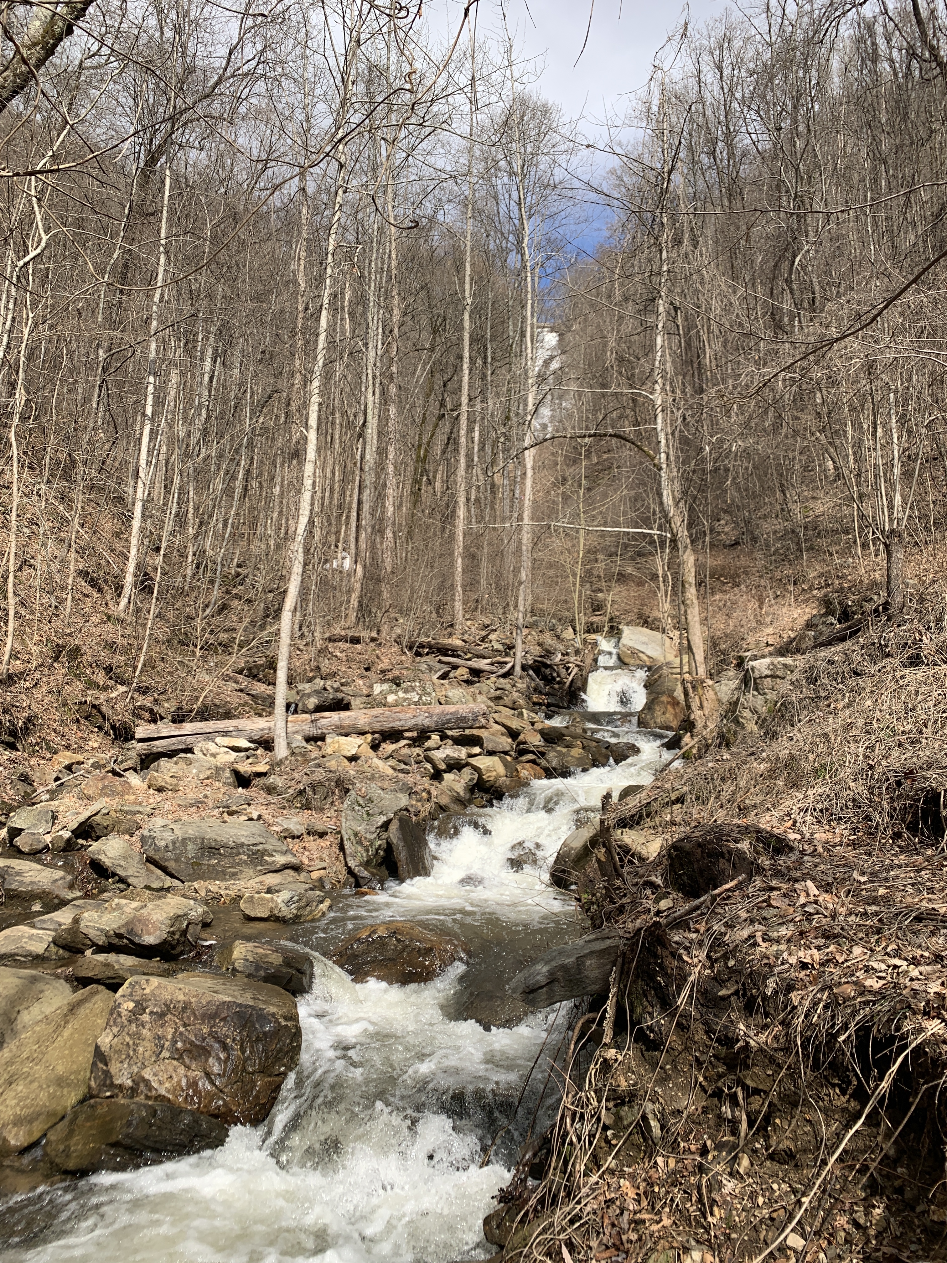 Plunging 729 feet, Amicalola Falls is the tallest cascading waterfall in the South
