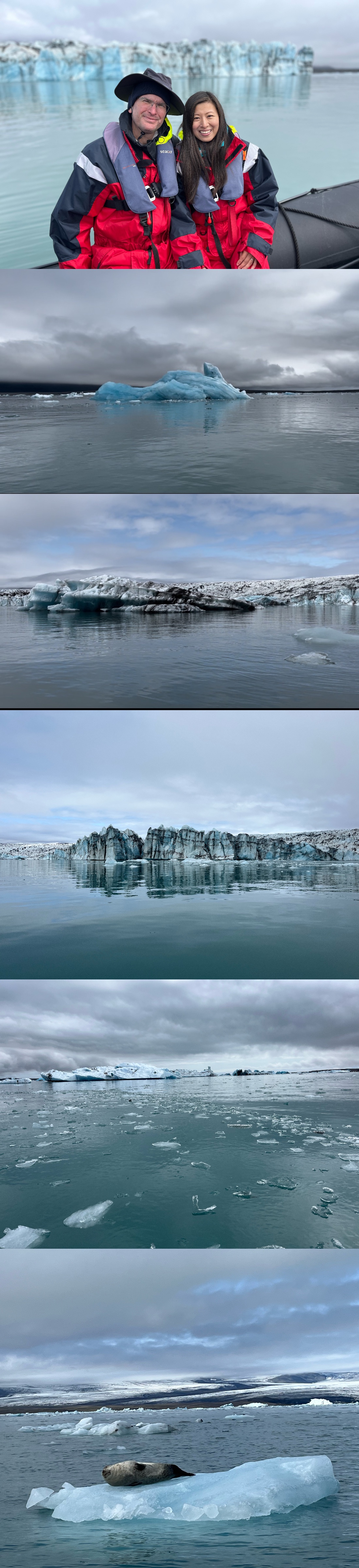 Blue icebergs are the newly tipped over ones