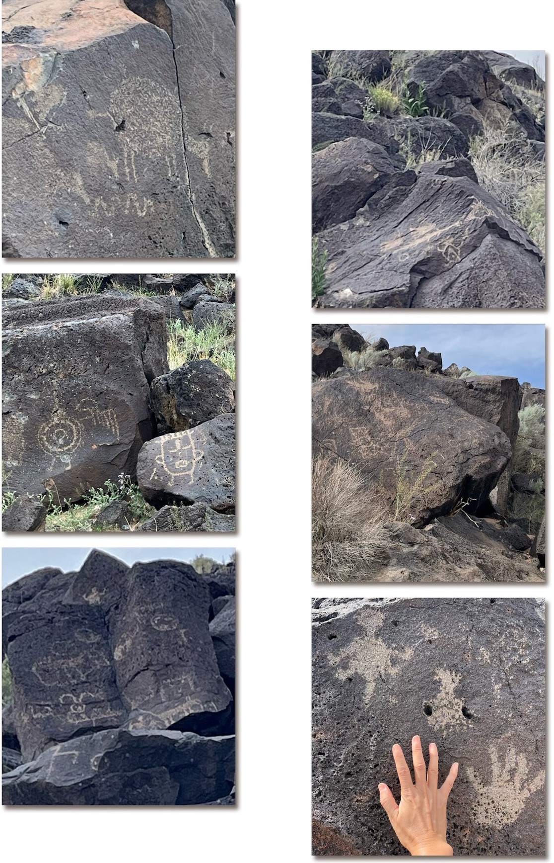 Someone with similar size of the hands draw the last pictures