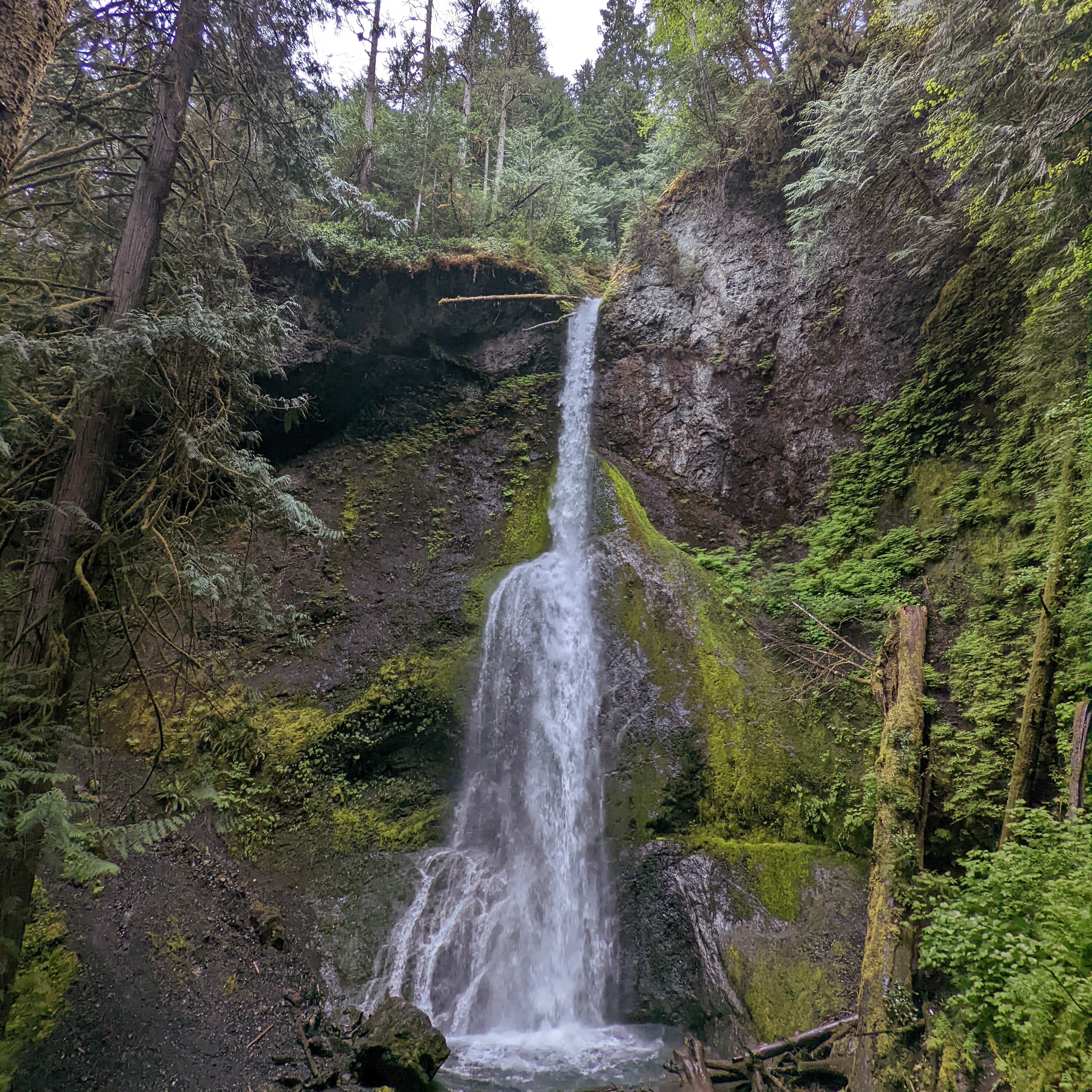 Marymere Falls Trail