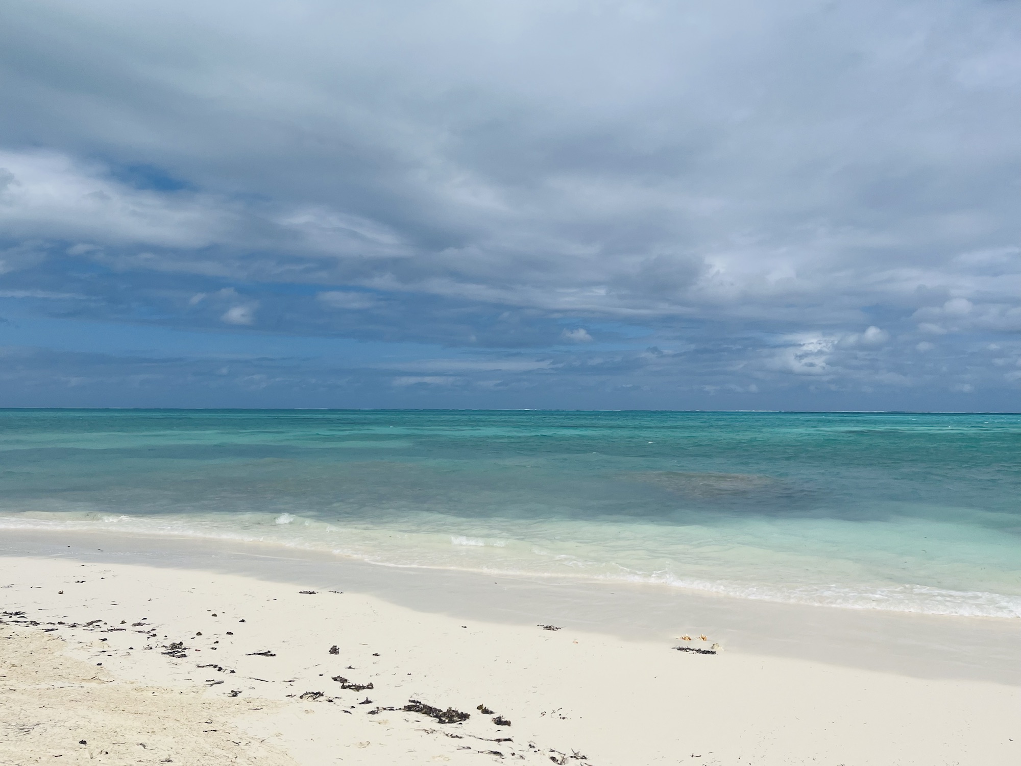 From Conch Shack 餐厅美景：白沙、绿水、蓝天